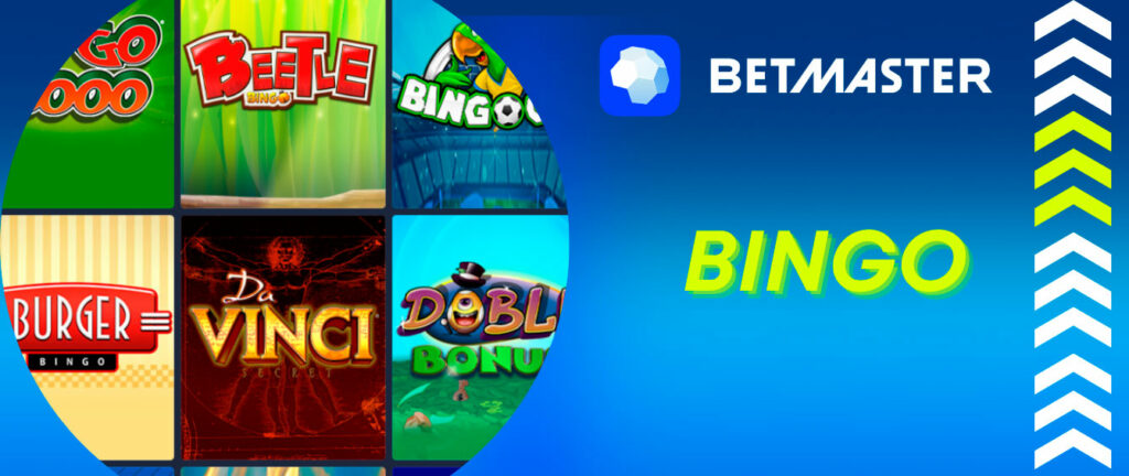 spacybet com