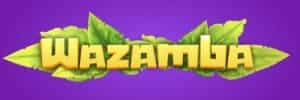Blaze historico